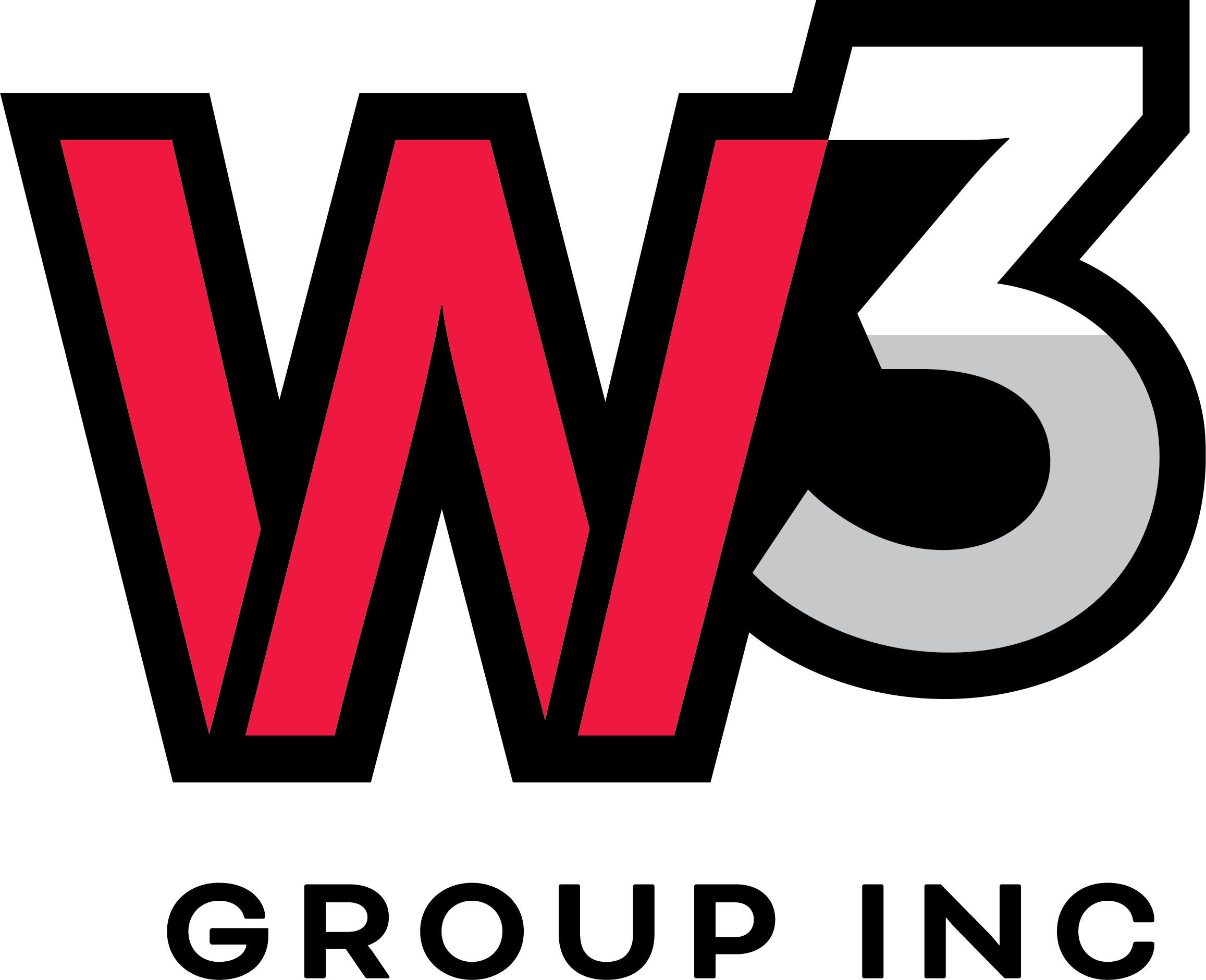 W3 Logo